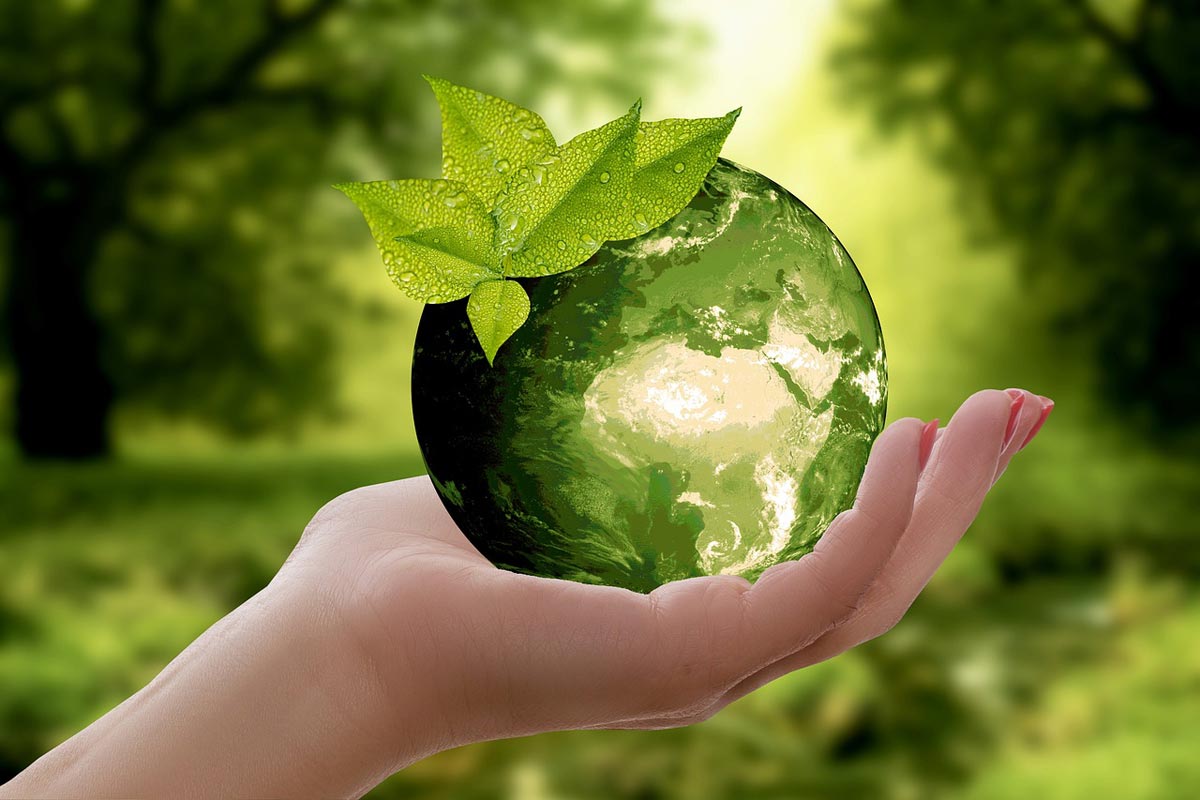 Zrównoważony rozwój poprzez eko życie i świadomą konsumpcję: Klucz do przyszłości